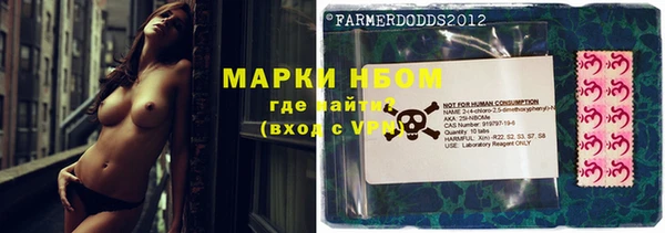 ешки Корсаков