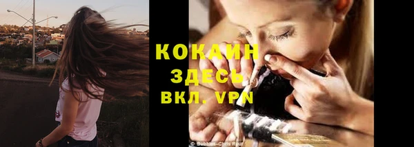 ешки Корсаков